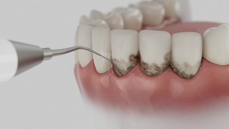 Reliable Dental contractor in Fort Scott, KS by Dentist Open Now
